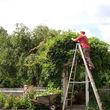 Photo #2: Md Licensed Tree Experts, Tree & Shrub Pruning, Removal, Preservation