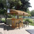 Photo #12: TIKI BAR RENTAL