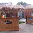 Photo #11: TIKI BAR RENTAL