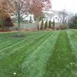 Photo #16: OneLove Lawn BBB A+ rating Veteran Owned and Operated