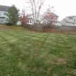 Photo #12: OneLove Lawn BBB A+ rating Veteran Owned and Operated