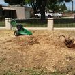 Photo #2: Trees by me. Stump Grinding