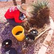 Photo #9: Landscaping & Maintenance Serive. Weeds & trees