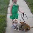 Photo #19: IN HOME DOG TRAINING
