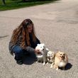 Photo #7: IN HOME DOG TRAINING