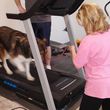 Photo #6: IN HOME DOG TRAINING