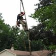 Photo #3: Mankus Tree Service. EXPERT TREE REMOVAL