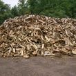 Photo #1: 22 YRS COMPLETE TREE SERVICE - SEASONED WOOD FOR SALE!