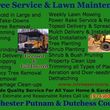 Photo #1: LC Tree Service Corp. TREE & LANDSCAPING SERVICE