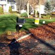 Photo #14: Still offering fall cleanup and other landscape services