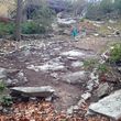 Photo #10: Still offering fall cleanup and other landscape services