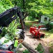 Photo #1: Filli's Tree Service. Professional Tree Removal
