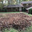 Photo #16: Leaf removal, landscaping service and more