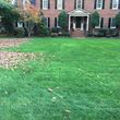 Photo #15: Leaf removal, landscaping service and more