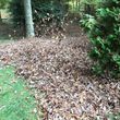 Photo #14: Leaf removal, landscaping service and more