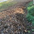 Photo #9: Leaf removal, landscaping service and more