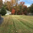 Photo #4: Leaf removal, landscaping service and more