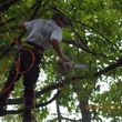 Photo #19: CERTIFIED EXPERT TREE SERVICE, 65 FT BUCKET TRUCK & CLIMBING SERVICE