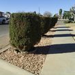 Photo #8: LANDSCAPING And Tree removal