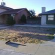 Photo #9: LANDSCAPING And Tree removal