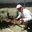 Photo #1: Robert Henry's lawn and garden