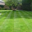 Photo #6: FREE LAWN CARE QUOTE FOR 2016!... Yard Butler