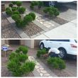 Photo #10: YARD CLEANING AND MAINTENANCE