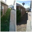 Photo #8: YARD CLEANING AND MAINTENANCE
