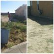 Photo #5: YARD CLEANING AND MAINTENANCE
