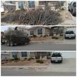 Photo #1: YARD CLEANING AND MAINTENANCE