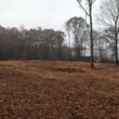 Photo #1: Forestry mulching/Land clearing