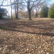 Photo #2: Steve's Lawn Care. Leaf Clean up/Brush clean up