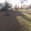 Photo #1: Steve's Lawn Care. Leaf Clean up/Brush clean up