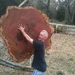 Photo #13: TIMBER TREE SERVICE *FREE ESTIMATES*