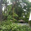 Photo #10: TIMBER TREE SERVICE *FREE ESTIMATES*
