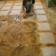 Photo #3: Decorative Concrete/ Acid Stained Floors