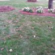Photo #5: Pride Lawns - Lawn Care!