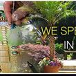 Photo #3: 25% OFF Landscape Design Services & Installation