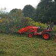 Photo #3: Mowing /bush hogging /clean up