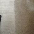 Photo #9: CARPET CLEANING SPECIAL! 5 Rooms + Hallway $65