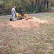 Photo #1: Hughes Tree and Stump Removal