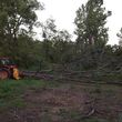 Photo #1: Phelps Land Restoration. Land Clearing and Logging Cleanup