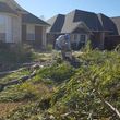 Photo #11: Ramon's Professional Tree Service