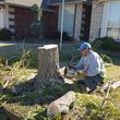 Photo #16: Ramon's Professional Tree Service