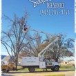 Photo #9: SALAS TREE SERVICE LLC. LICENSED/INSURED!