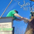 Photo #1: SALAS TREE SERVICE LLC. LICENSED/INSURED!
