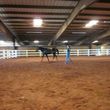 Photo #11: Horse Boarding, NE Oklahoma City Metro- $250. Full care!