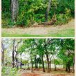 Photo #5: 76 Land Services, LLC. Land Clearing, Tree Removal, Mulching/Dirt Work