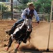 Photo #3: Barrel Racing/ Riding Lessons