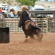 Photo #6: Barrel Racing/ Riding Lessons
